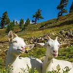 Lägenhet Auszeit Sölden