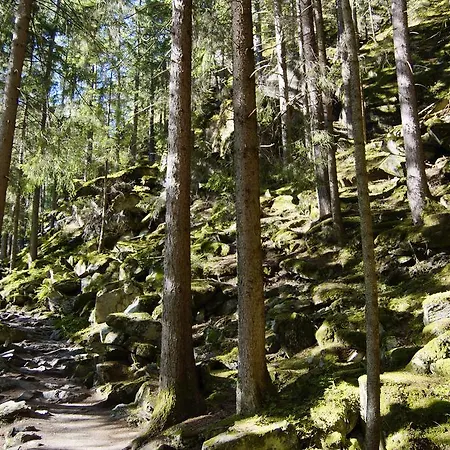 Auszeit Lejlighed Sölden