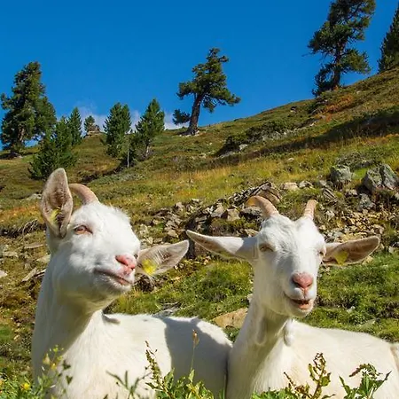 Appartamento Auszeit Sölden